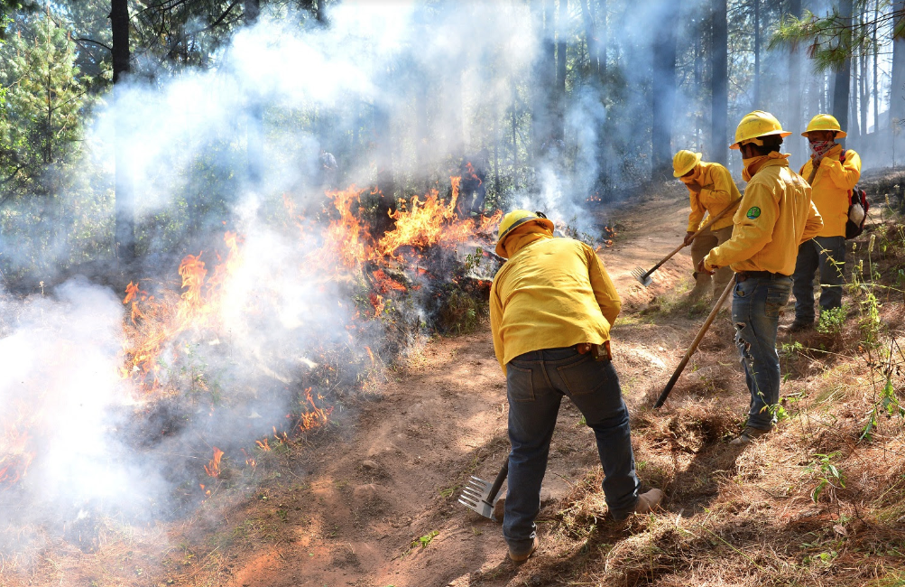 Descuido humano, es la principal causa de incendios forestales en el país